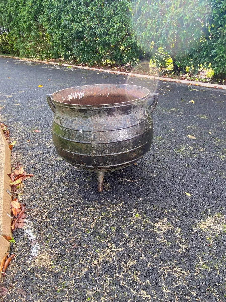 Garden - Image 2