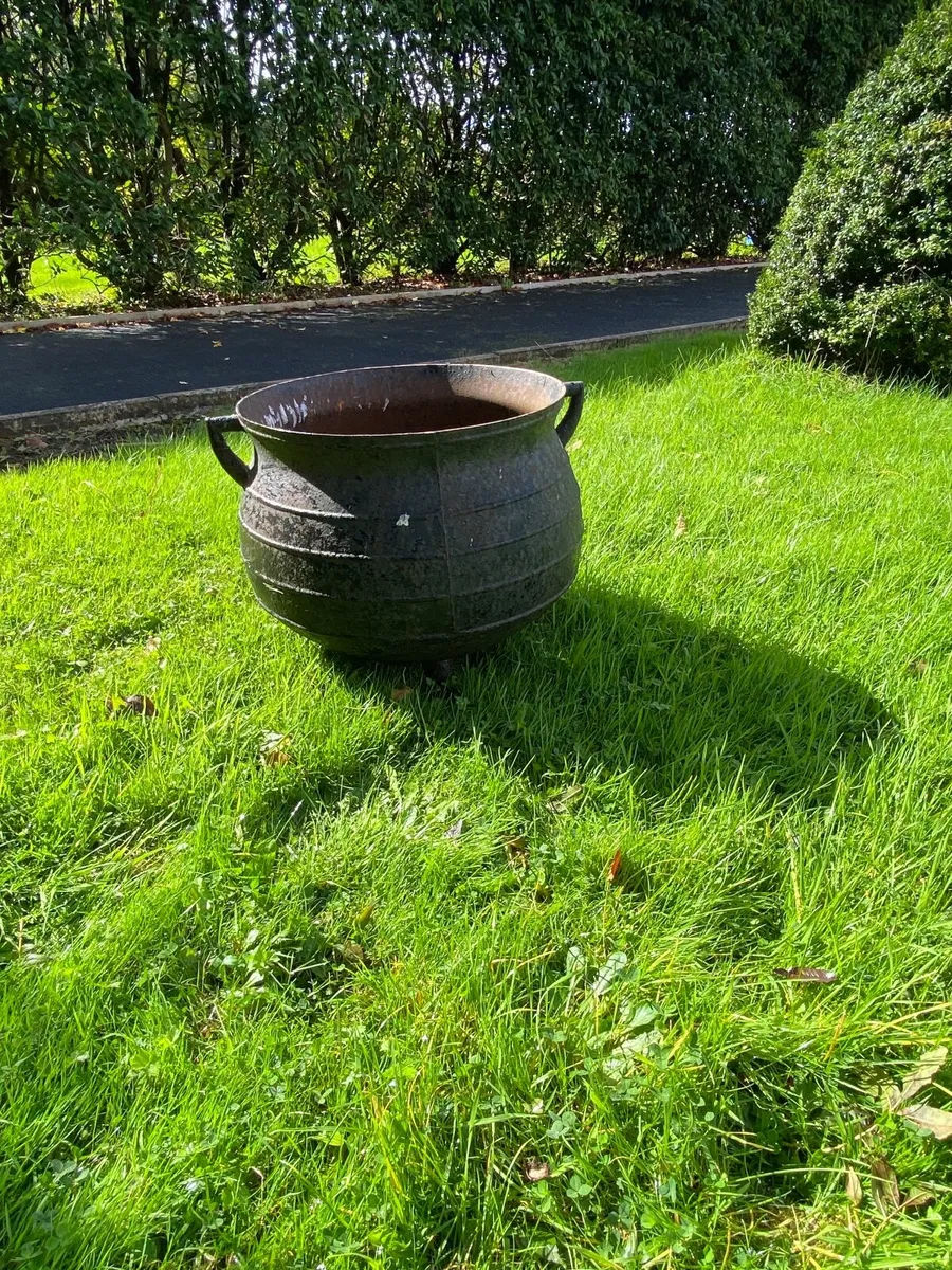 Garden - Image 3