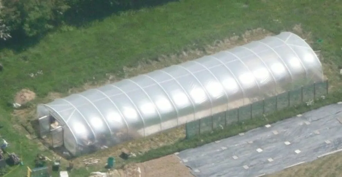 Polytunnel - Image 2