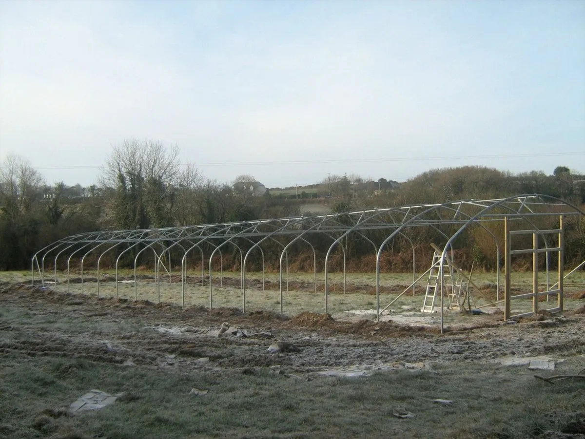 Polytunnel - Image 1