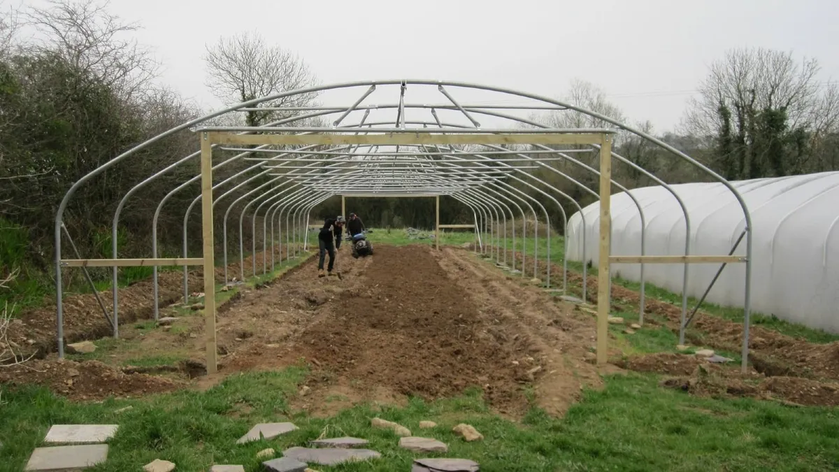 Polytunnel - Image 4