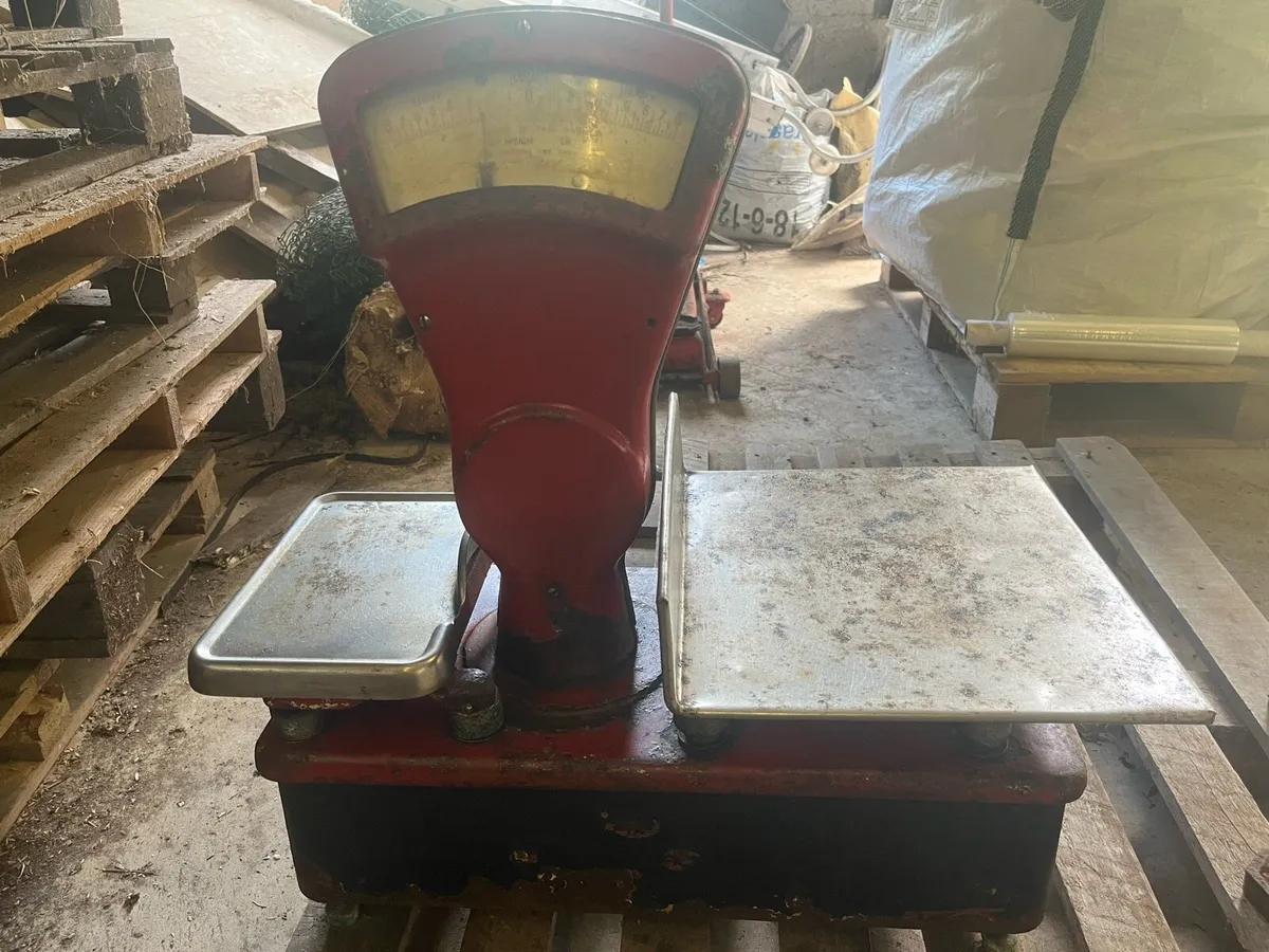 Antique Avery Bench Weighing Scales - Image 2