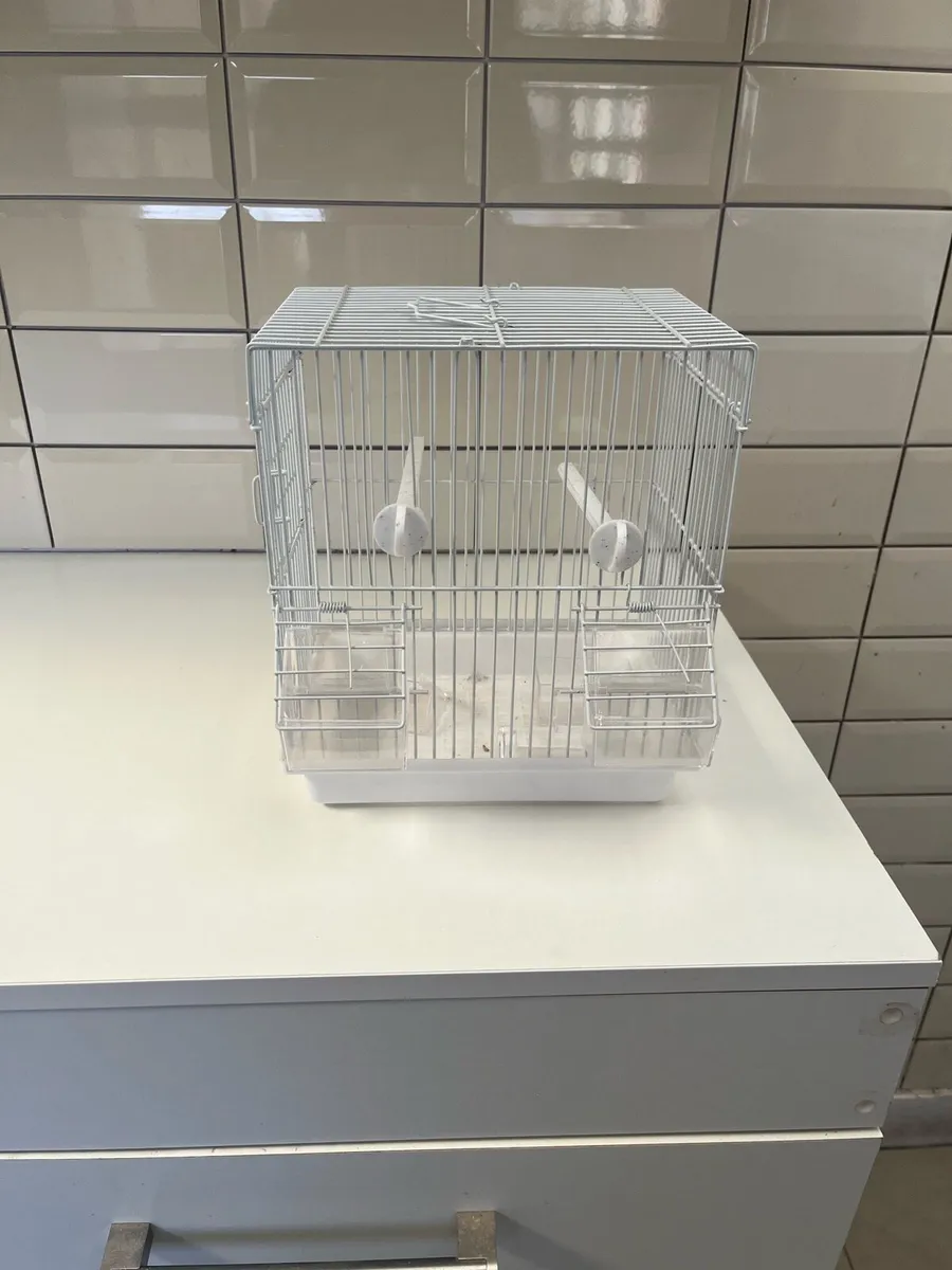Bird cage - Image 2