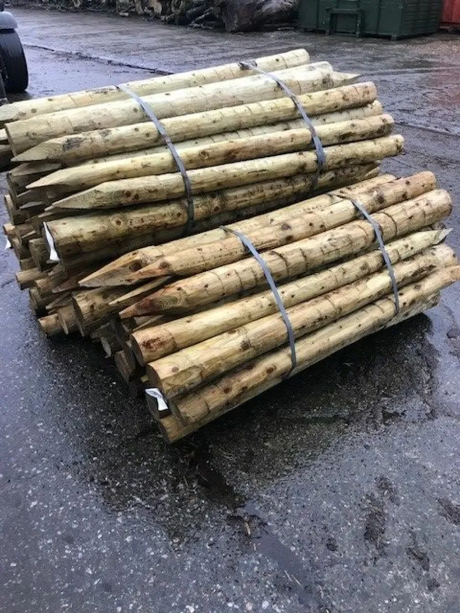 Farm Fencing Posts Sale @ Ploughing 2025 - Image 3