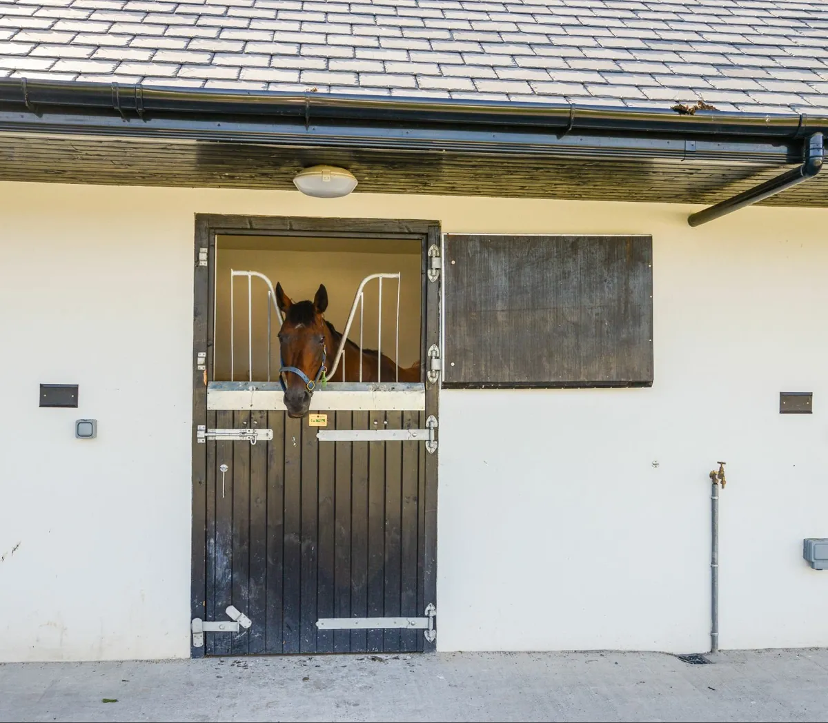 Standish Sawmills Timber Gate Sale – Ploughing2025 - Image 4