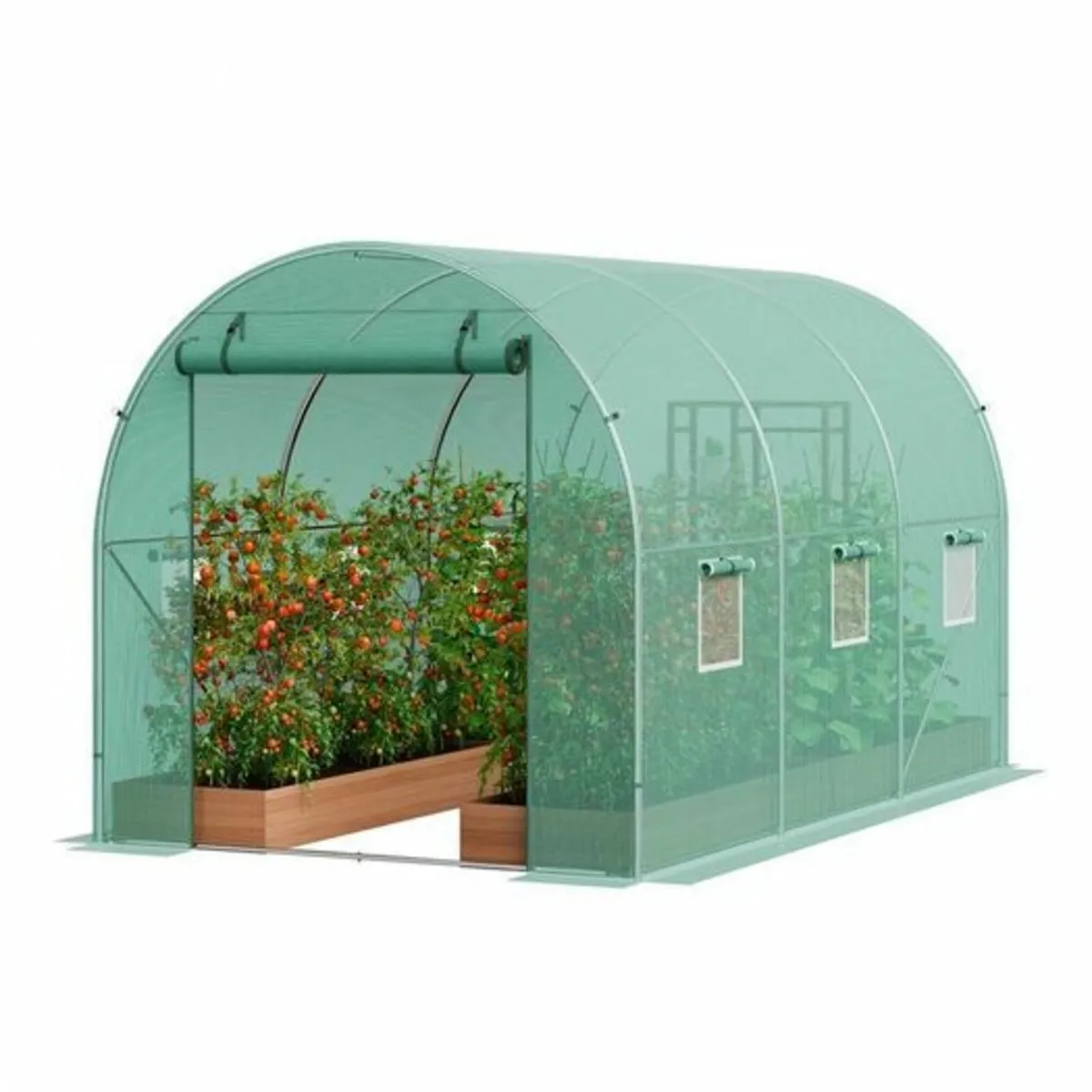 Greenhouse Tomato House Polytunnel - Image 1