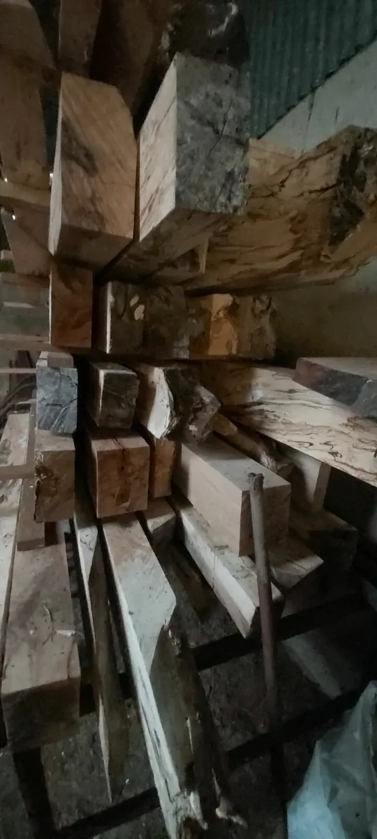 Beech timber beams & Blue Bangor slates - Image 2
