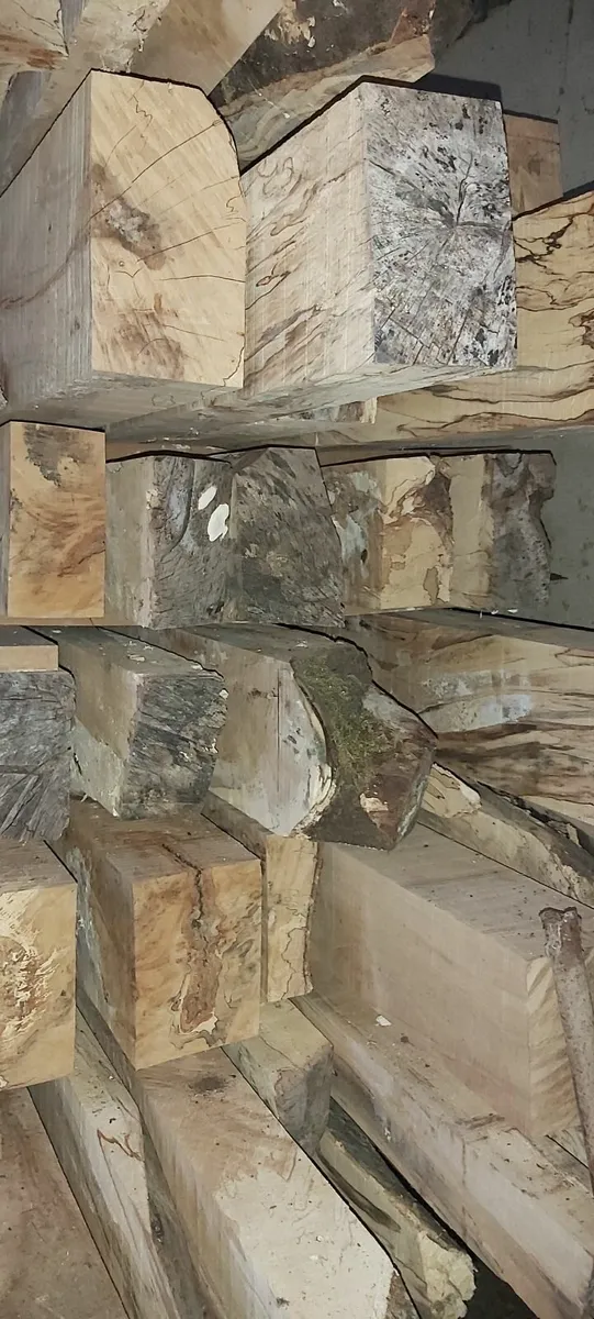 Beech timber beams & Blue Bangor slates - Image 3