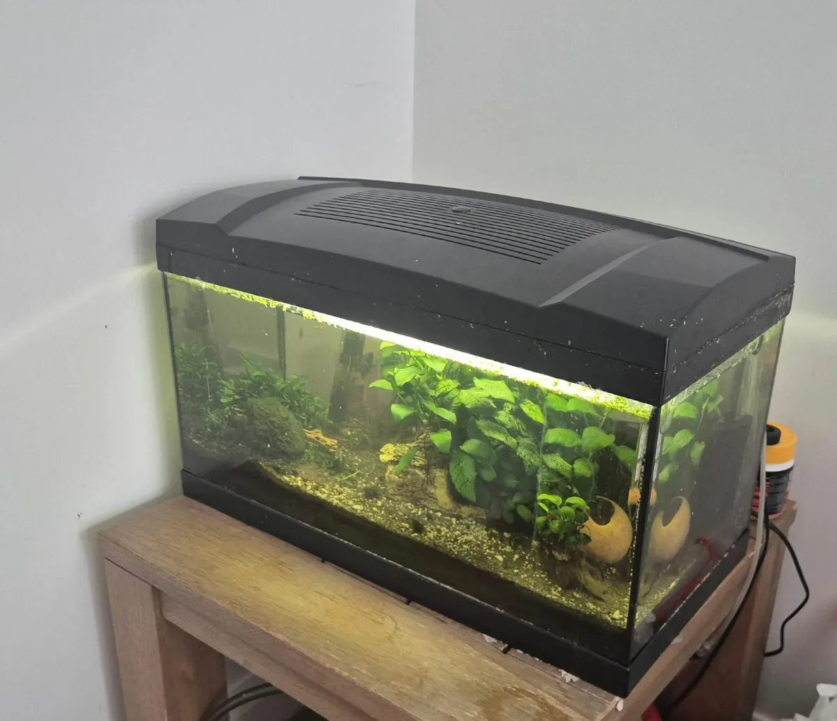 Fish Tank - Image 1