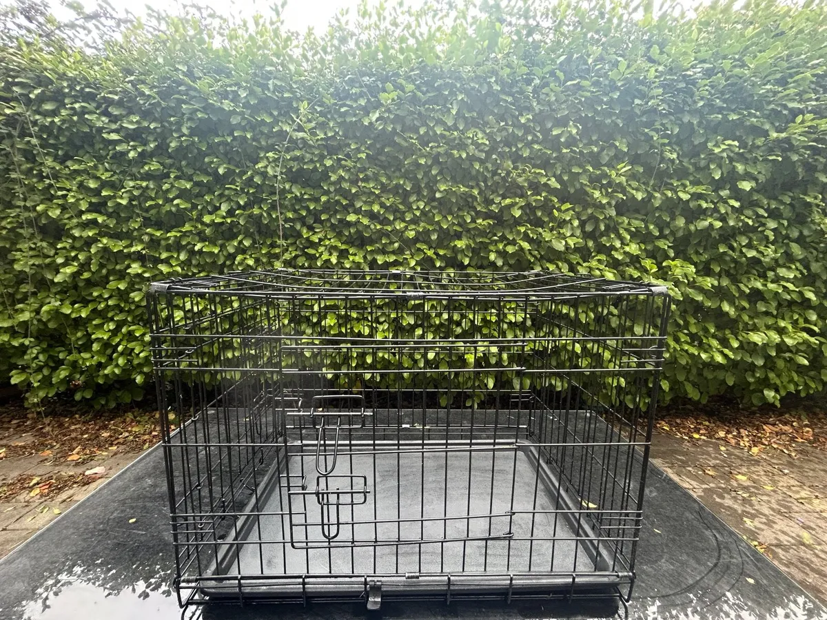 Dog Crate