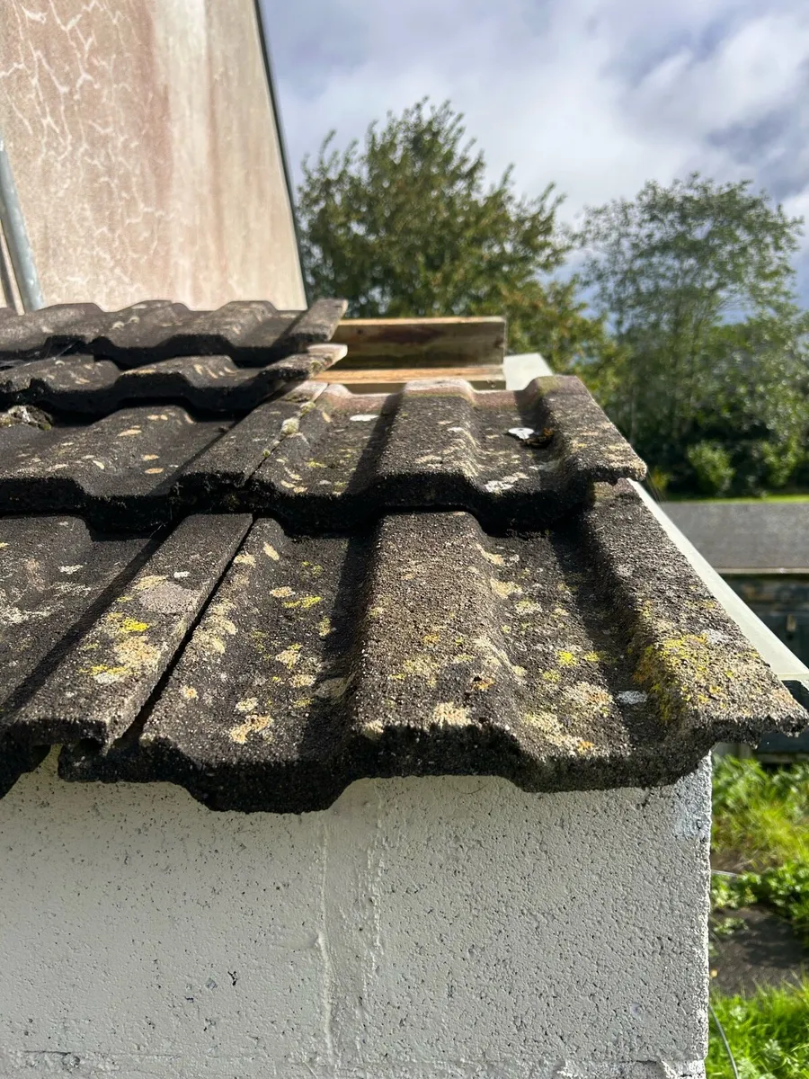 Roof tiles - Image 1