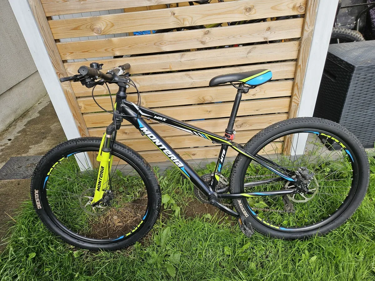 Mountain bike - Image 1