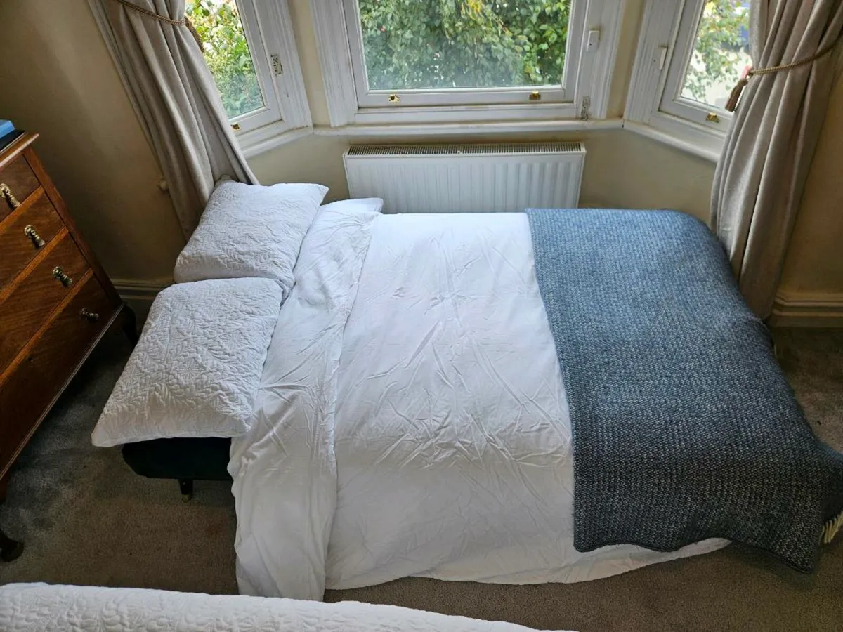Couch/ Sofa Bed - Image 4