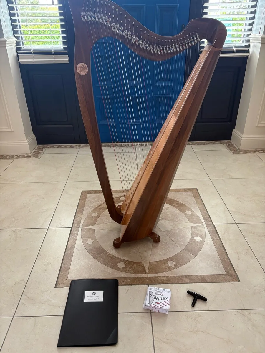Killarney Harp - Image 2
