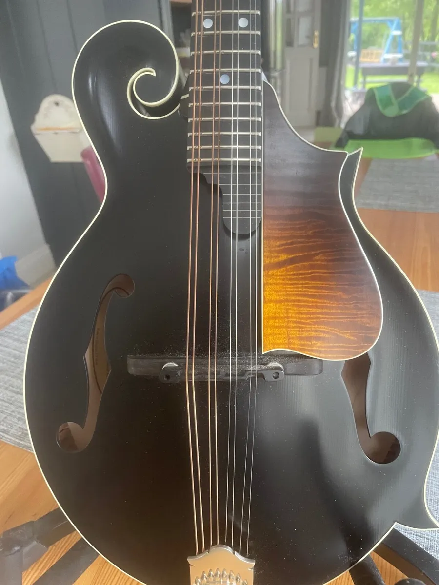 Coostar f style mandolin - Image 1