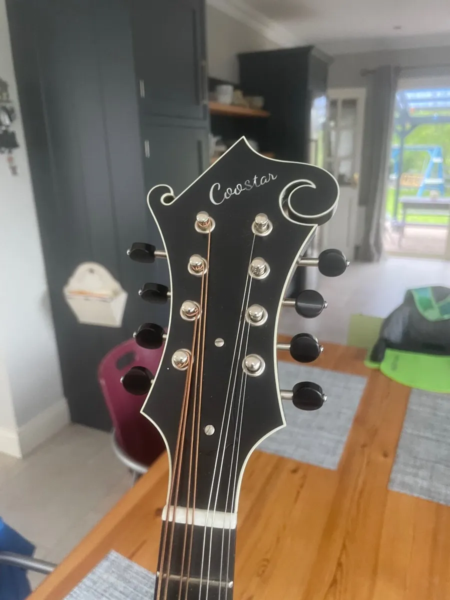 Coostar f style mandolin - Image 2
