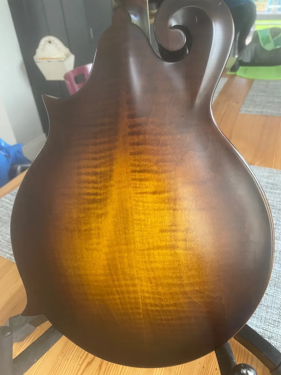Coostar f style mandolin - Image 3