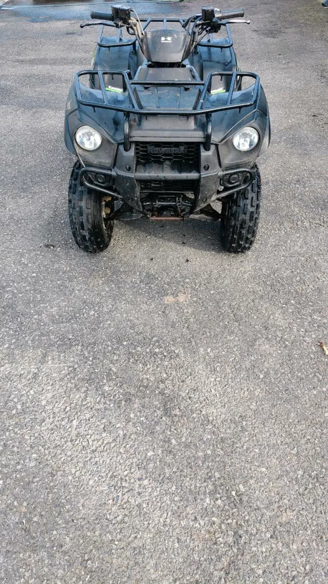 Brute Force 300 Kawasaki - Image 1