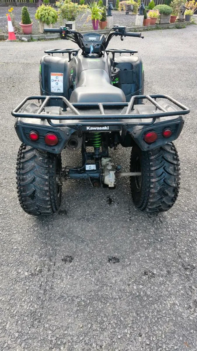 Brute Force 300 Kawasaki - Image 3