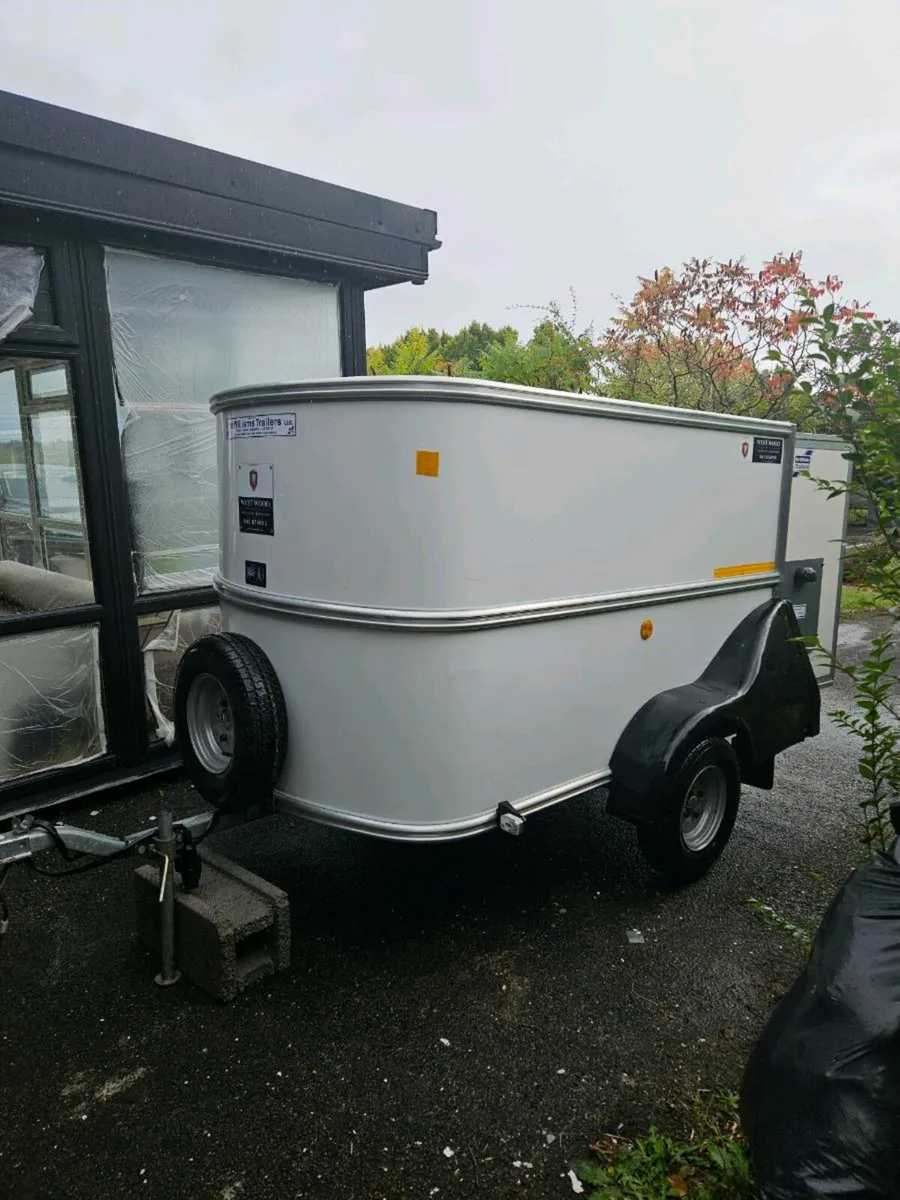 Ivor Williams Box Van Trailer - Image 1
