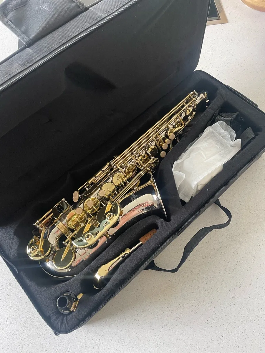 Alto Saxophone - Nickel & Gold - Image 1