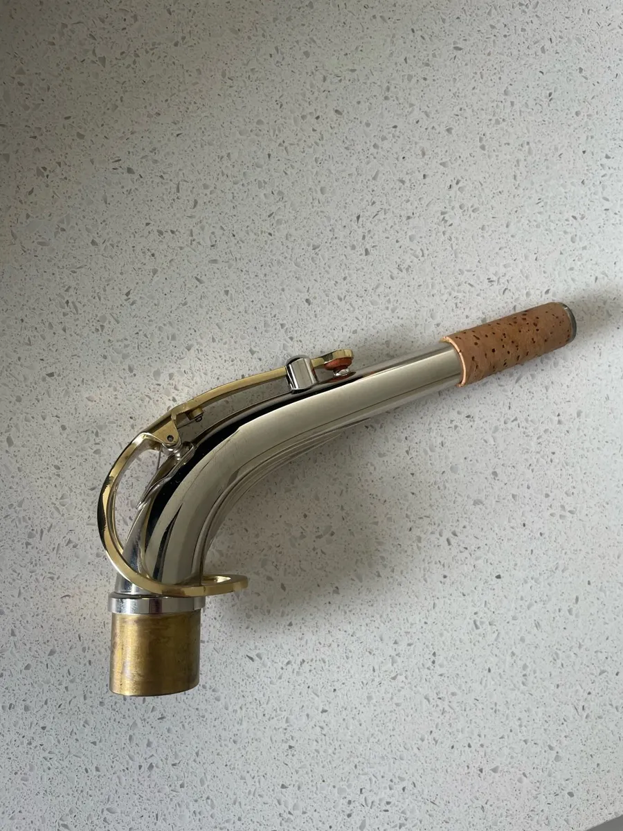 Alto Saxophone - Nickel & Gold - Image 4