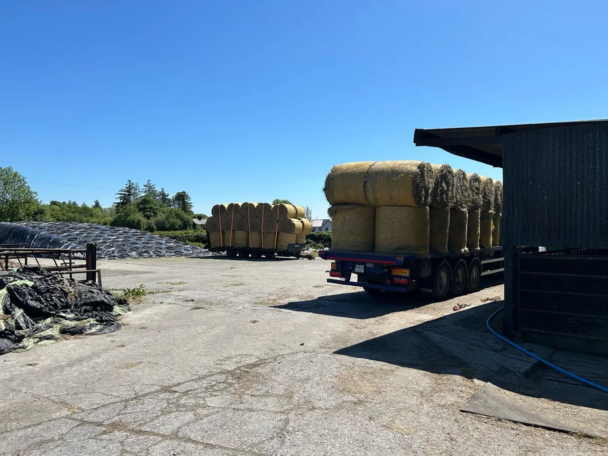 75 Round Bales of Hay - Image 2