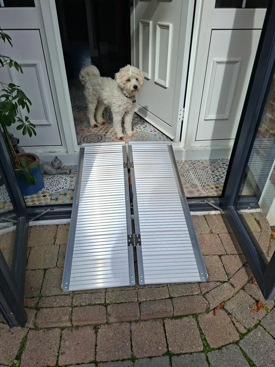 Folding Wheelchair & Wheelchair Ramp - Image 4