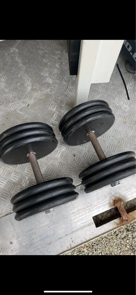 32.5kg Dumbbells - Image 1