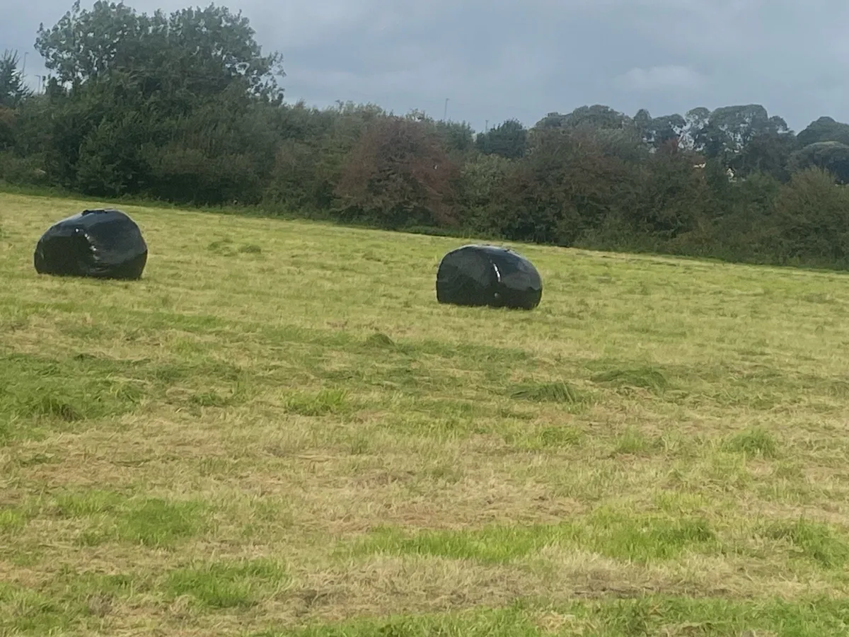 Silage bales - Image 2