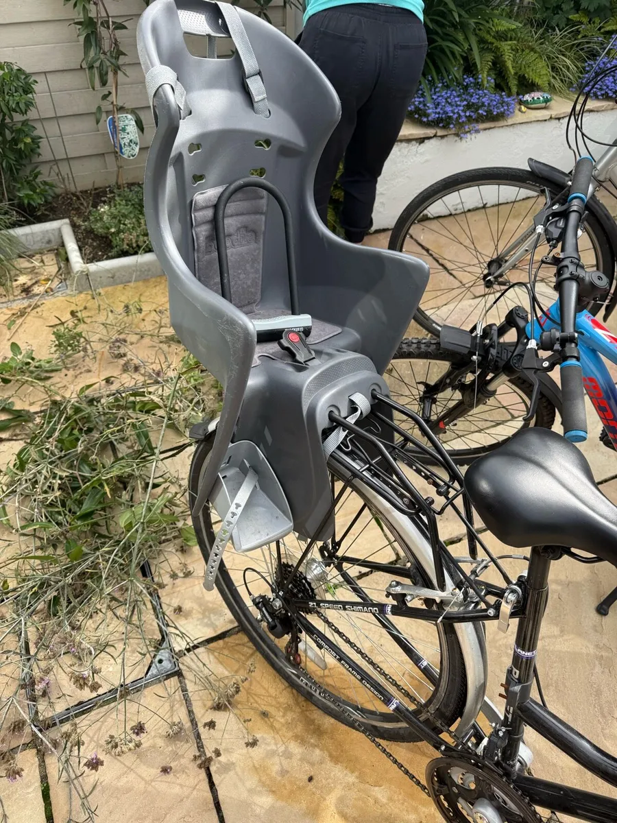 Family bike - Image 2