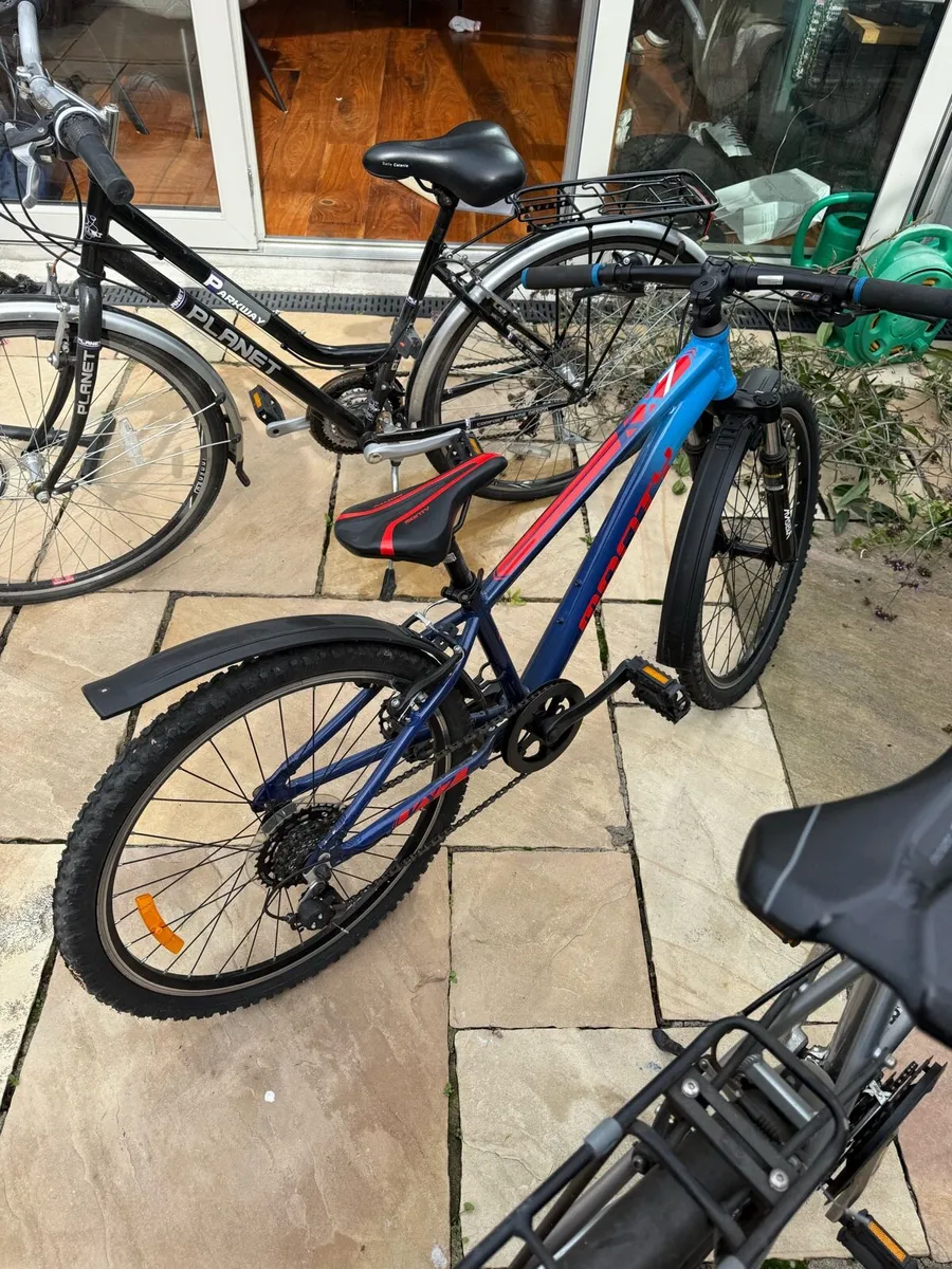 Family bike - Image 4