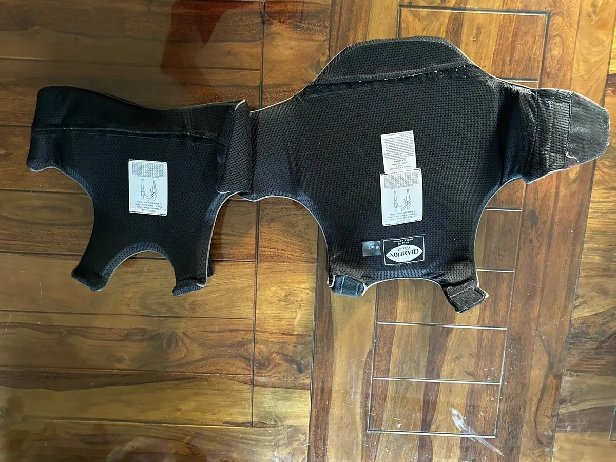 Horse Riding Back Protector - Image 2