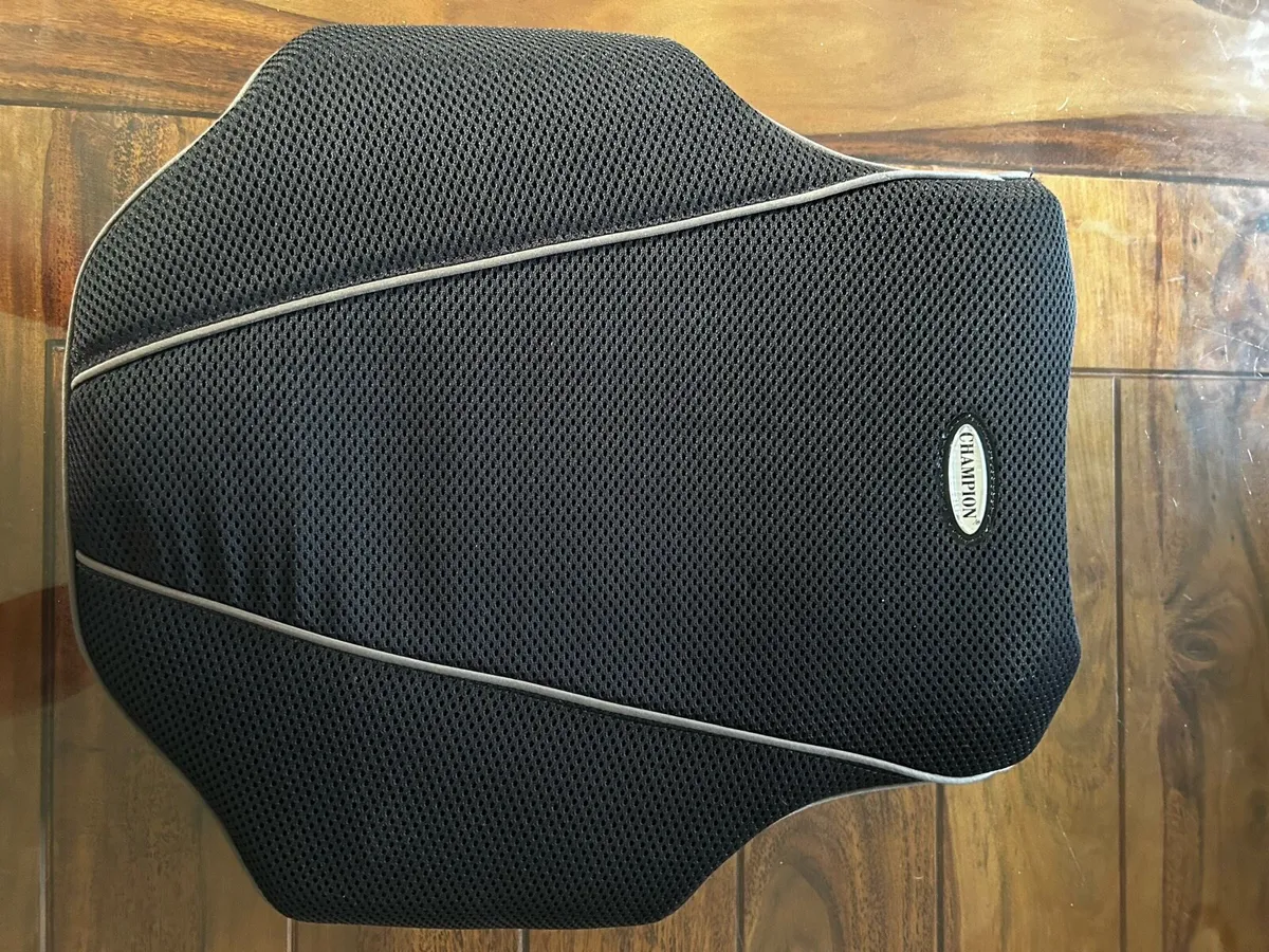 Horse Riding Back Protector - Image 3