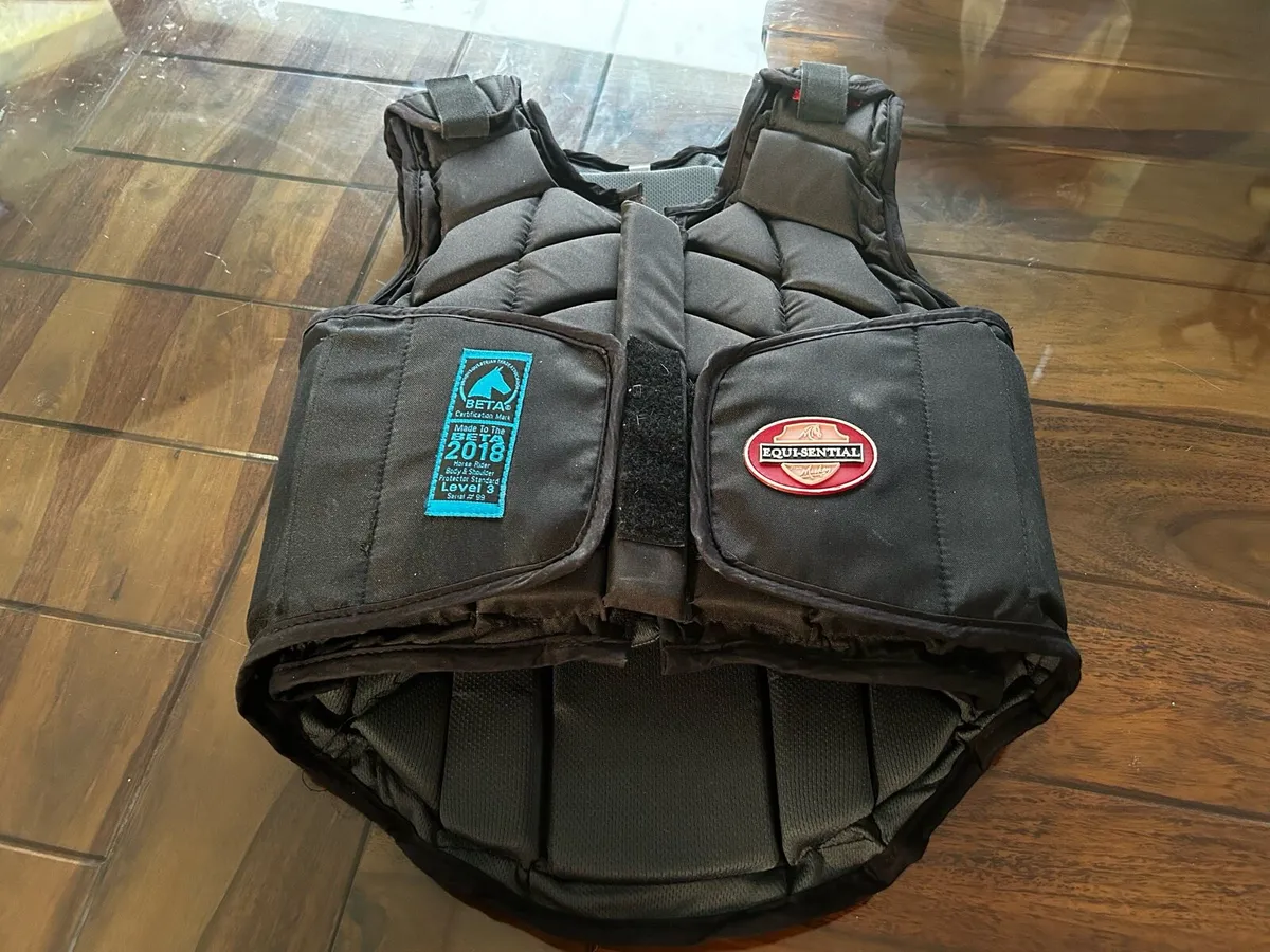 Horse Riding Back Protector - Image 1