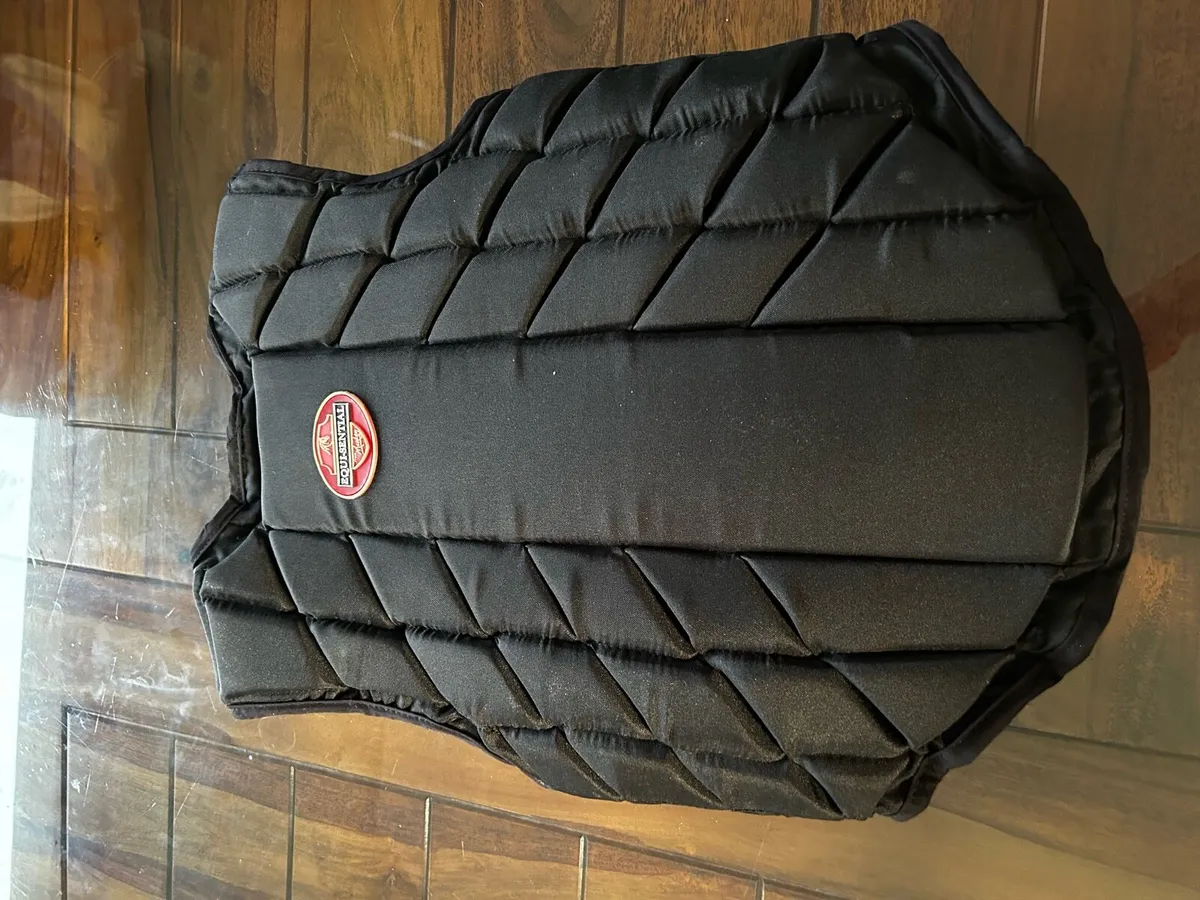 Horse Riding Back Protector - Image 2