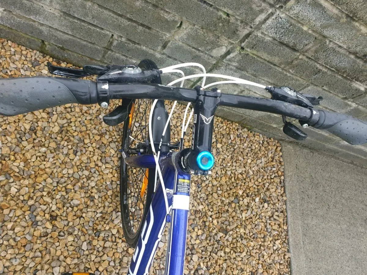 ADULTS BIKE - Image 2