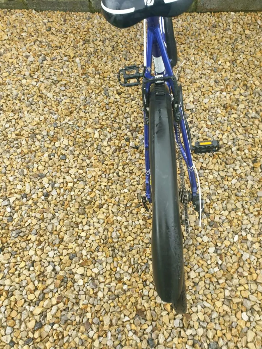 ADULTS BIKE - Image 4