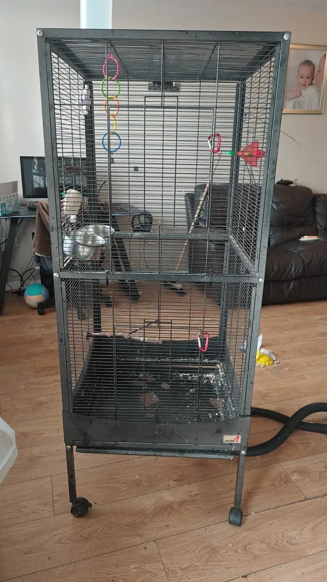 Large bird cage - Image 2