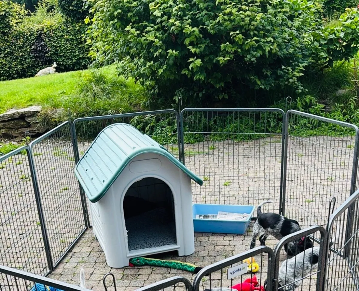 Dog / puppy run / playpen - Image 1