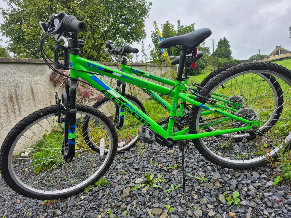 Boy's 24" Edgar Green Mountain Bike x2 - Image 4
