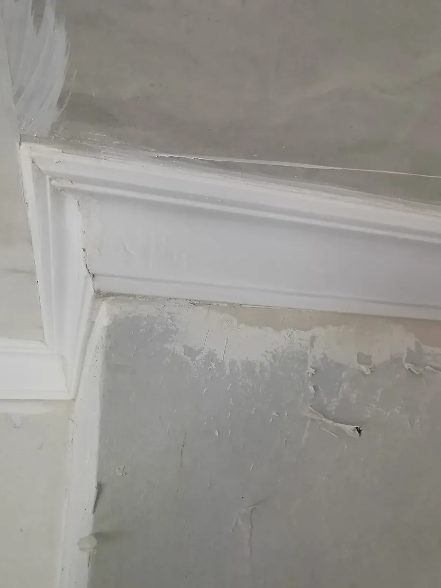 Coving - Image 2