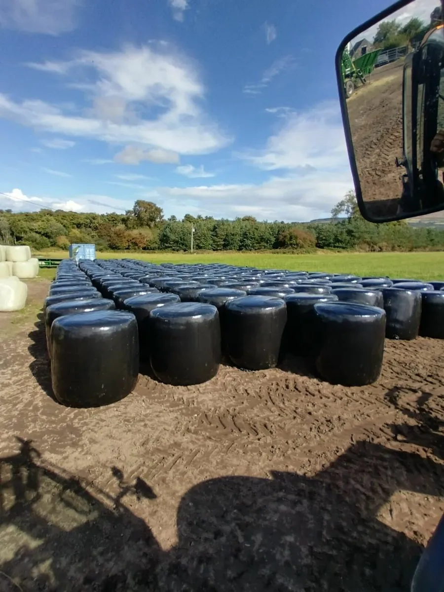 MAIZE BALES - Image 2