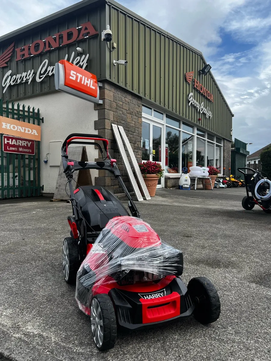 Harry 21” Self Drive (only 2 seasons done) - Image 1
