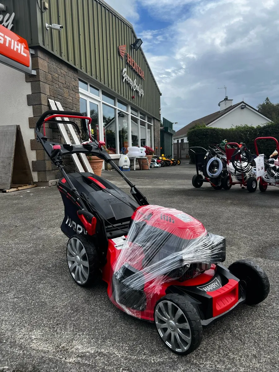 Harry 21” Self Drive (only 2 seasons done) - Image 2