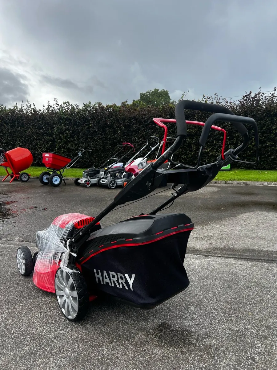 Harry 21” Self Drive (only 2 seasons done) - Image 4