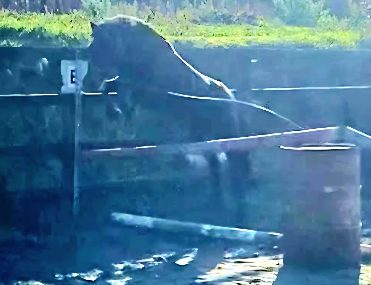 "AG DOUBLE BUBBLE "Stunning 12.1 6yr old mare - Image 3