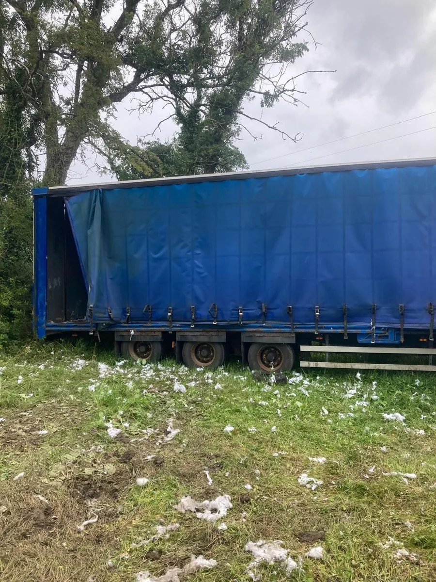 SDC curtain sider - Image 1