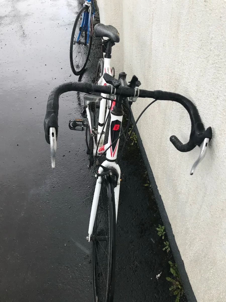 Brand new barracuda Corvus bike - Image 2