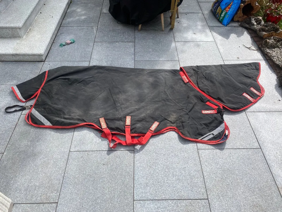 Rambo horse rug 7ft 450g - Image 4
